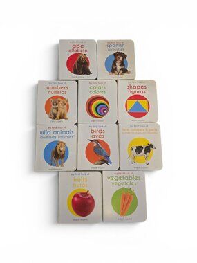 Lot 10 My First Book English Spanish Bilingual Board Books ABC Numbers Colors